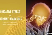 Oxidative Stress And Migraine Headaches The Connection Revealed