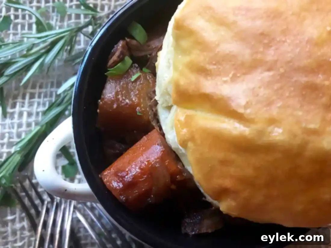 Dutch oven with braised beef stew, ready for serving