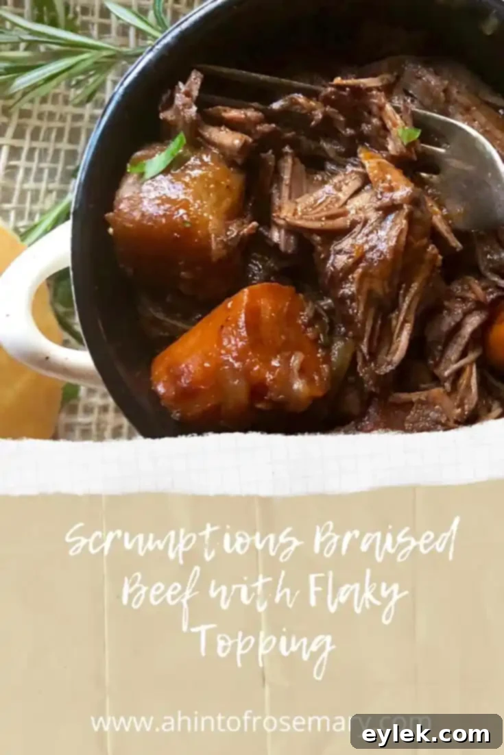 Scrumptious Braised Beef with Flaky Topping in individual bowls