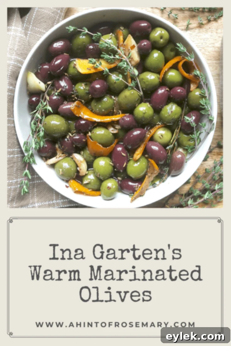 A captivating image of Ina Garten's Warm Marinated Olives, artfully arranged and ready to be enjoyed as a gourmet appetizer.