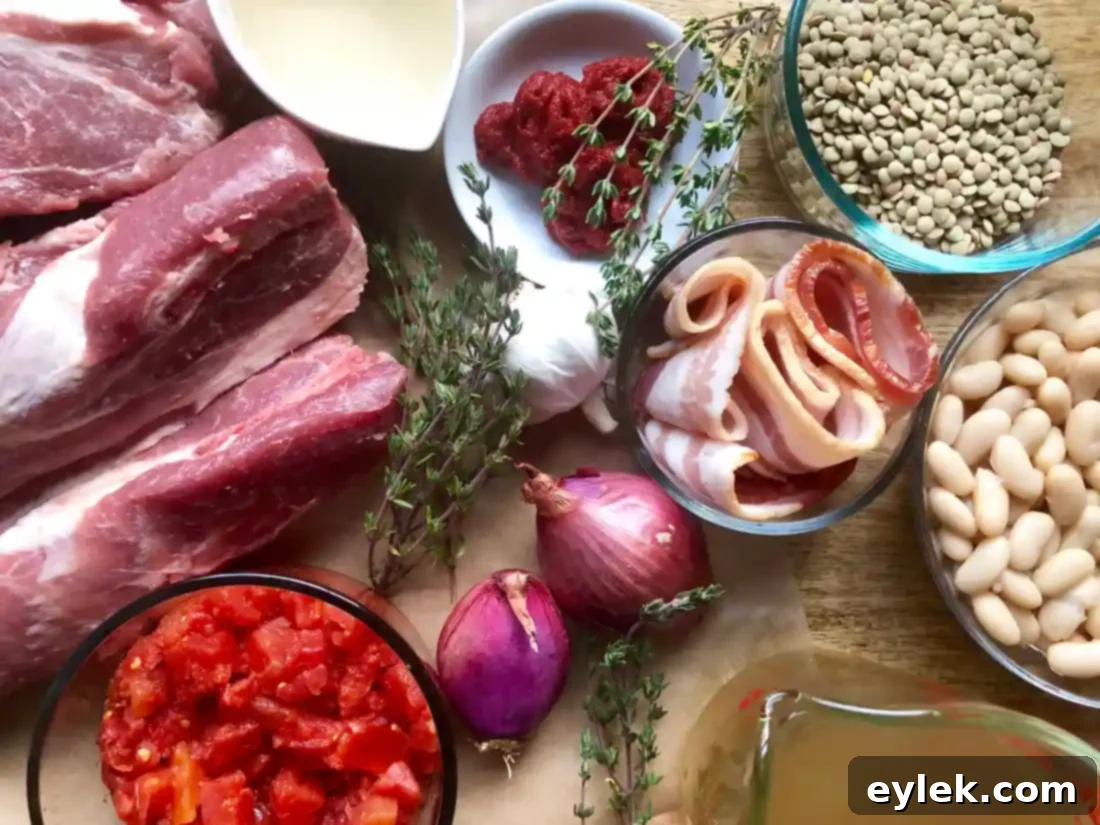 white bean cassoulet with pork & lentils