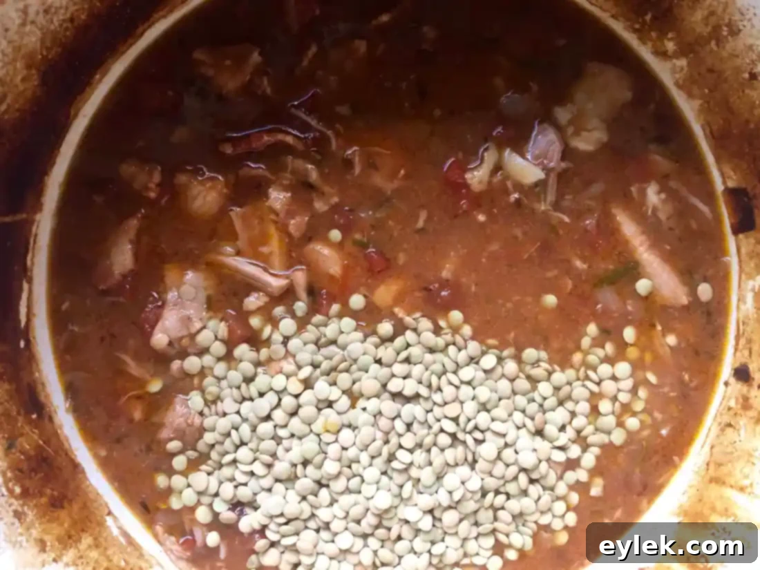 white bean cassoulet with pork & lentils