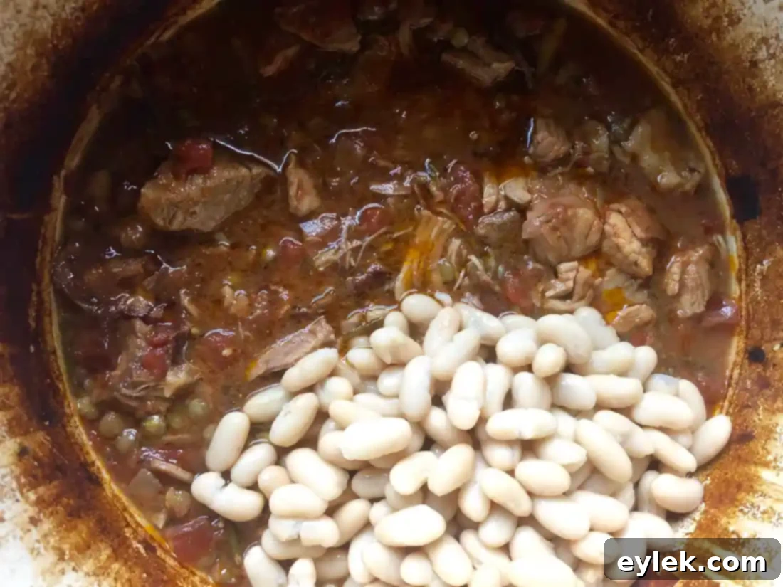 white bean cassoulet with pork & lentils