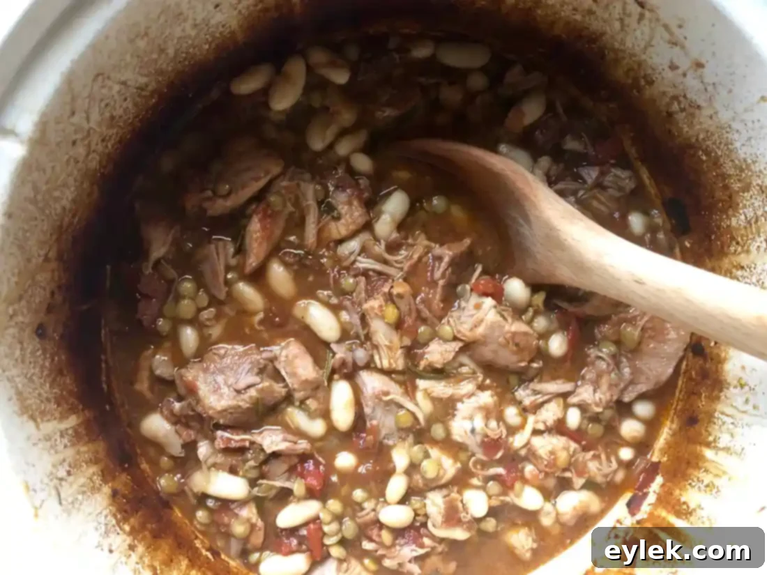white bean cassoulet with pork & lentils