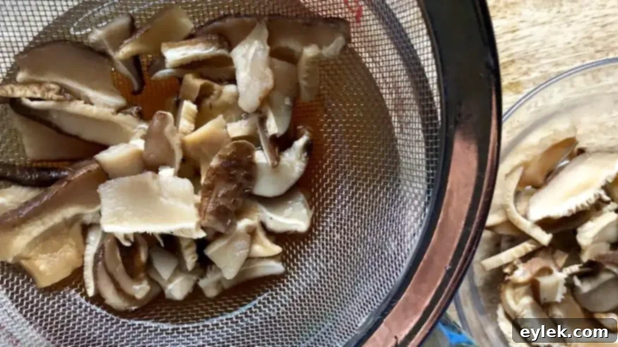vegetarian mushroom herb gravy