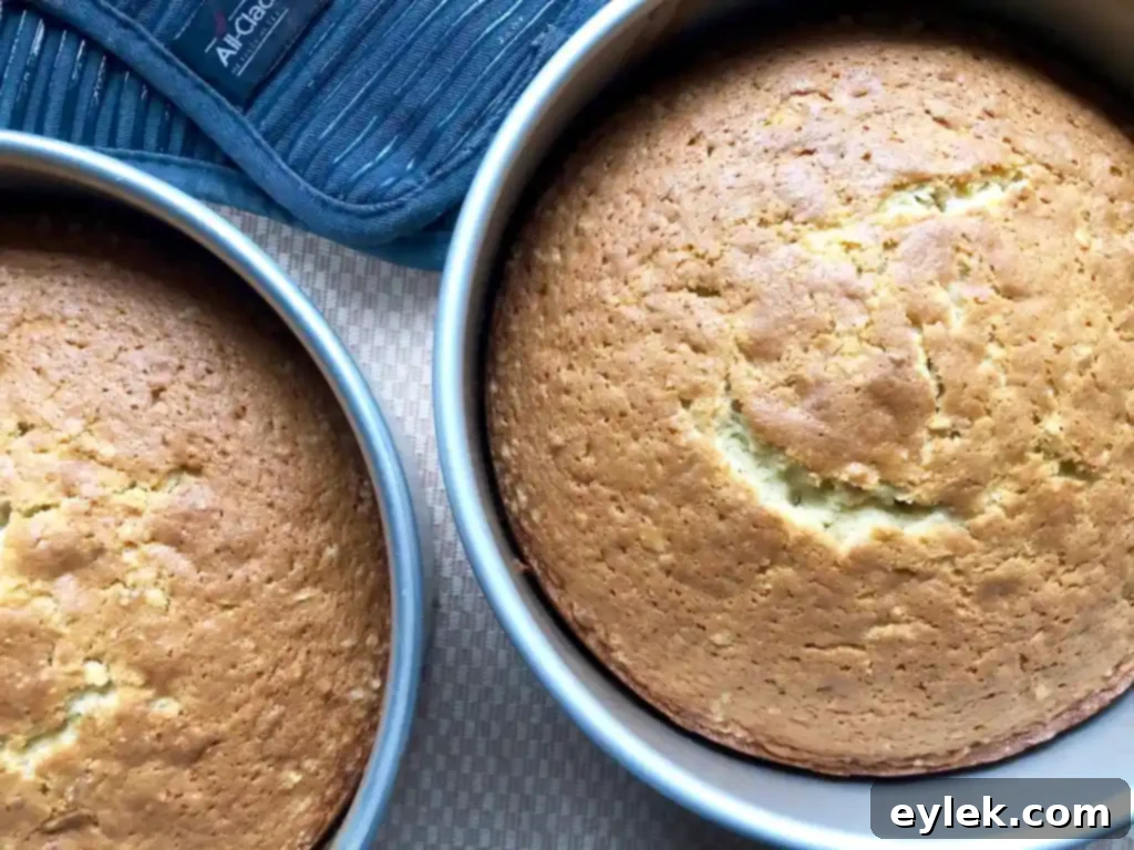 The star of the show: Julia's Walnut Cake