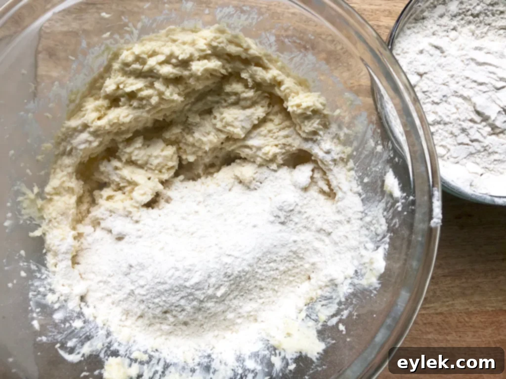 Crumbly cookie dough in a bowl before rolling