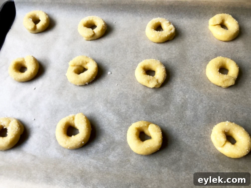 einkorn flour cookies with olive oil & wine