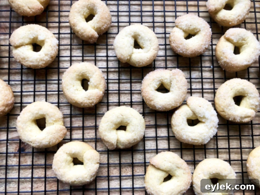 einkorn flour cookies with olive oil & wine