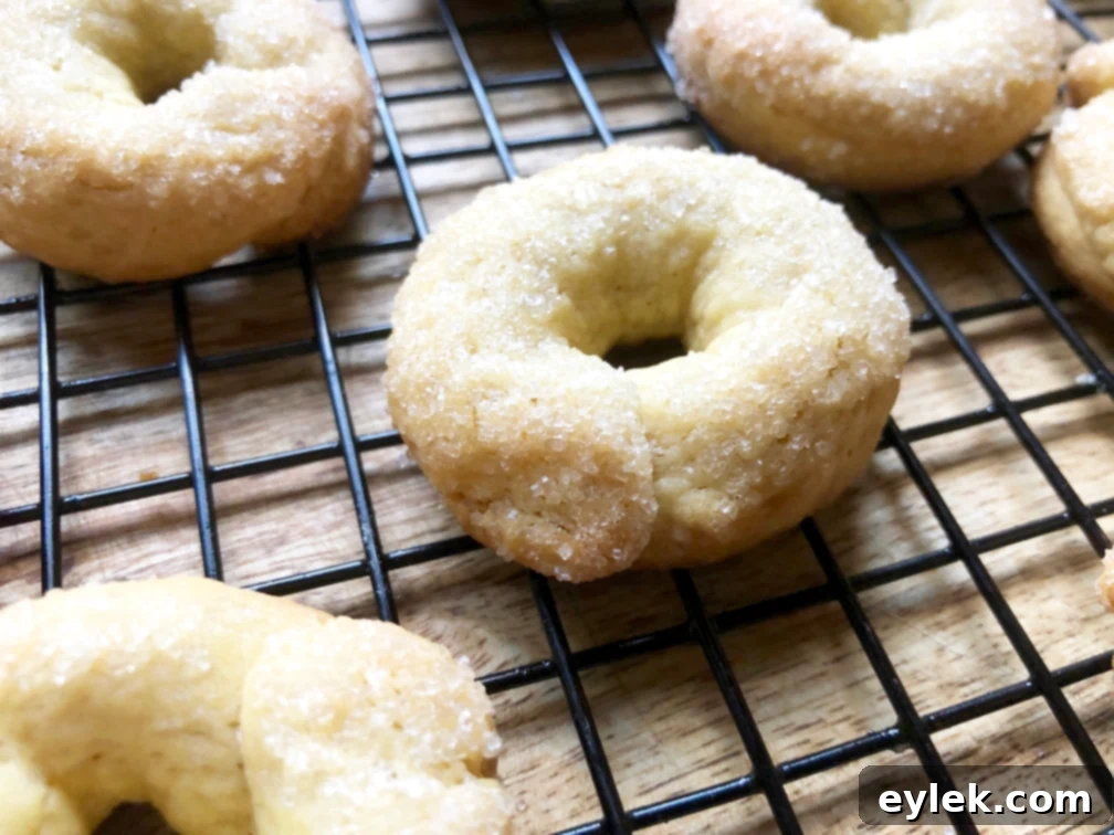 einkorn flour cookies with olive oil & wine