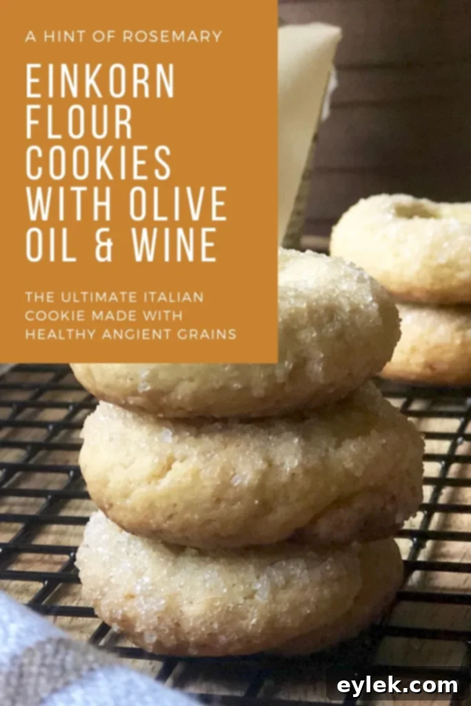 einkorn flour cookies with olive oil & wine