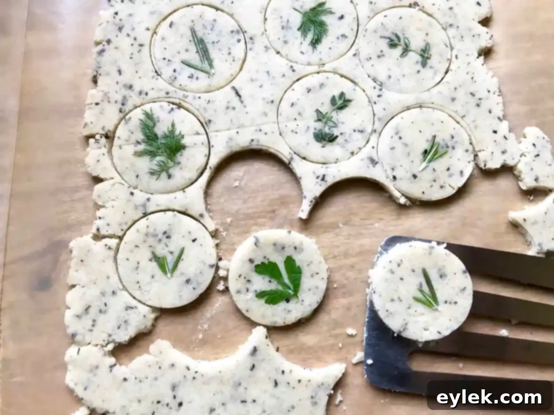 Rosemary Parmesan Cracker with Embossed Herb