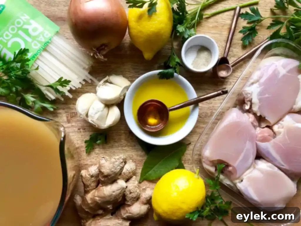 feel-good chicken soup with ginger over rice noodles