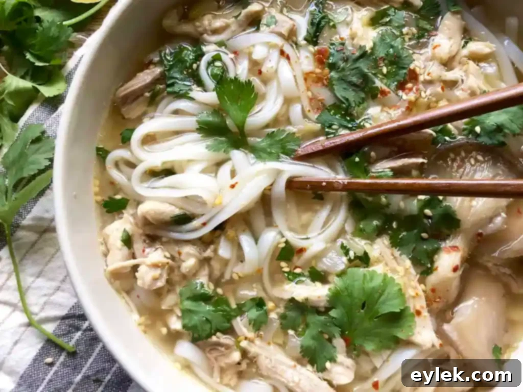 feel-good chicken soup in a bowl with oyster mushrooms
