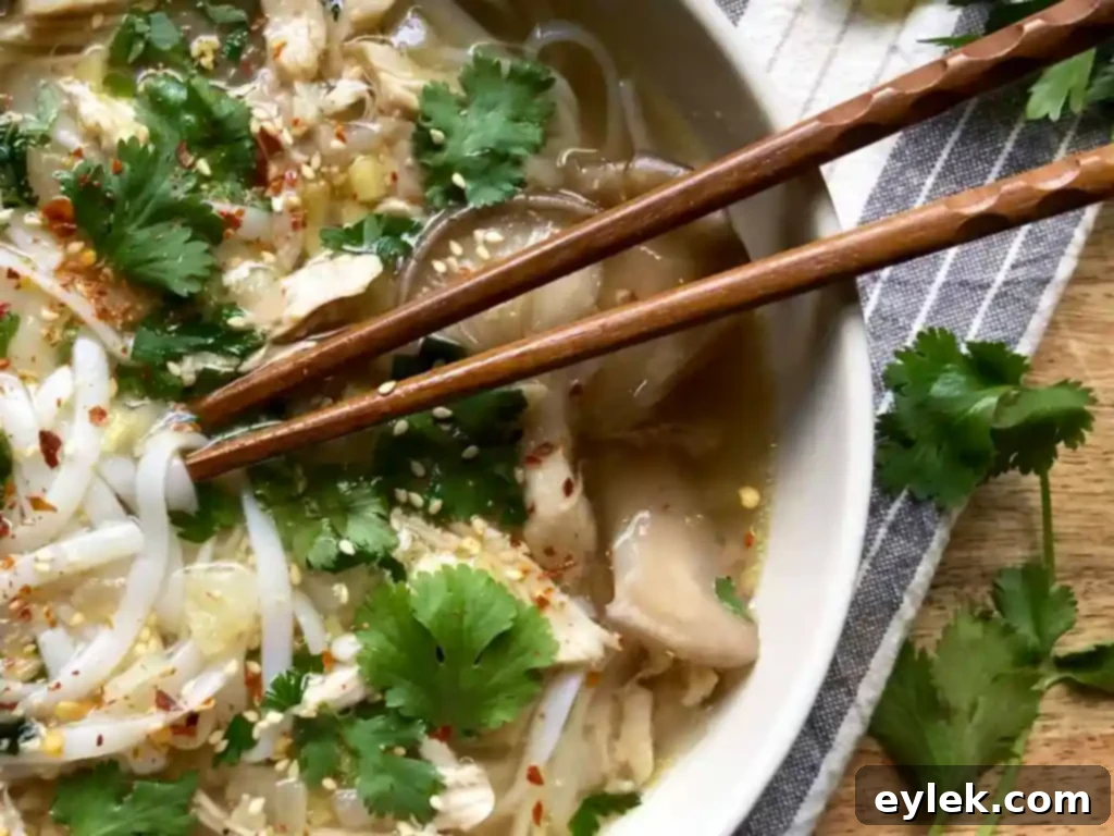 feel-good chicken soup ready to serve
