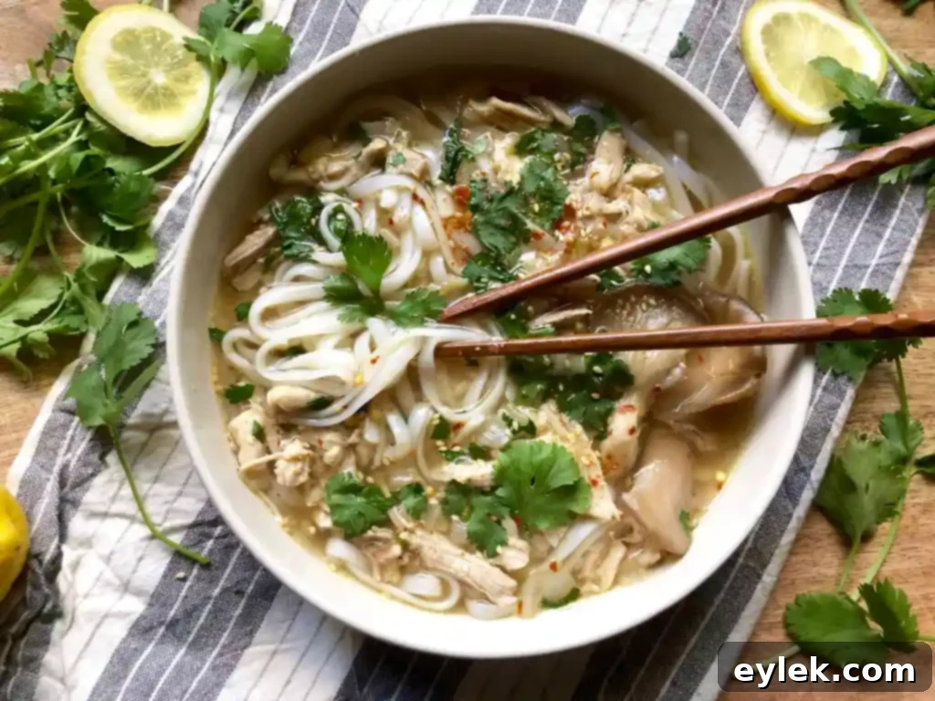 feel-good chicken soup with ginger over rice noodles garnished