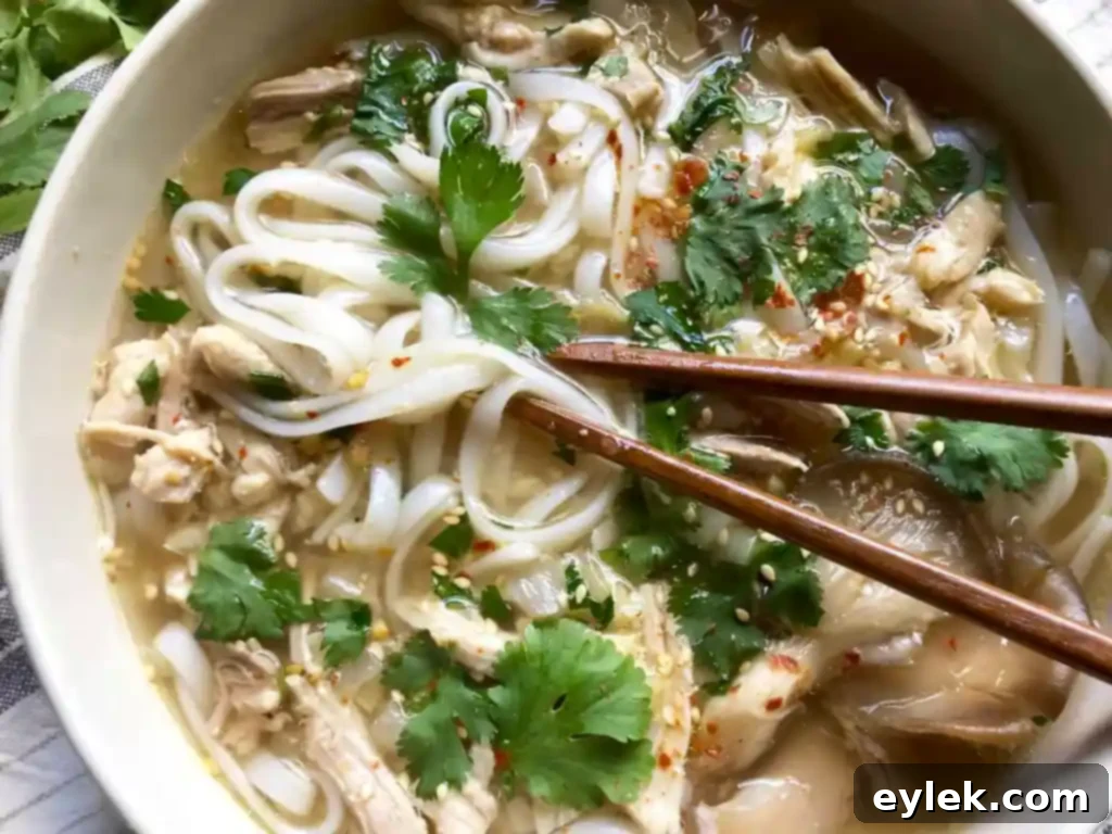 close-up of feel-good chicken soup