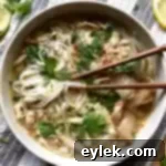 Warming Ginger Chicken & Rice Noodle Broth 17 feel-good chicken soup with ginger over rice noodles