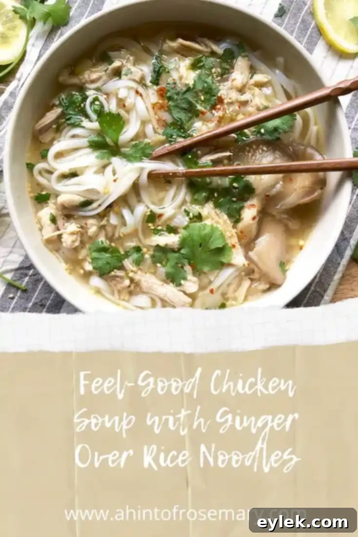 Feel-Good Chicken Soup with Ginger Over Rice Noodles