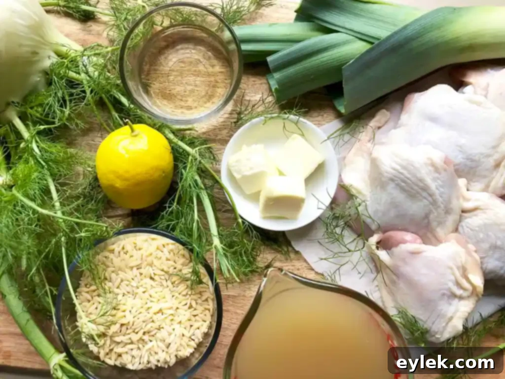 Mediterranean Chicken and Orzo with Fennel and Leeks 2 chicken with orzo, fennel & leeks