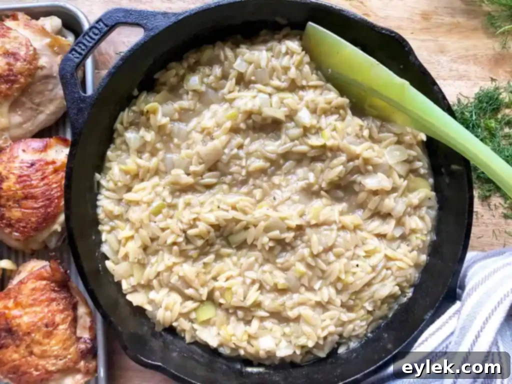 Mediterranean Chicken and Orzo with Fennel and Leeks 13 finished orzo in skillet