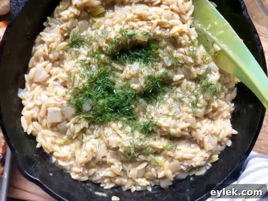 Mediterranean Chicken and Orzo with Fennel and Leeks 15 close up of chicken and orzo