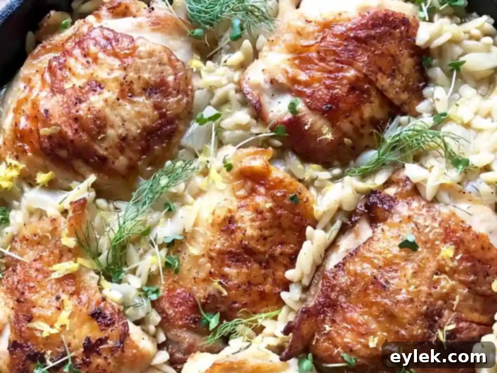 Mediterranean Chicken and Orzo with Fennel and Leeks 16 finished dish presented in skillet
