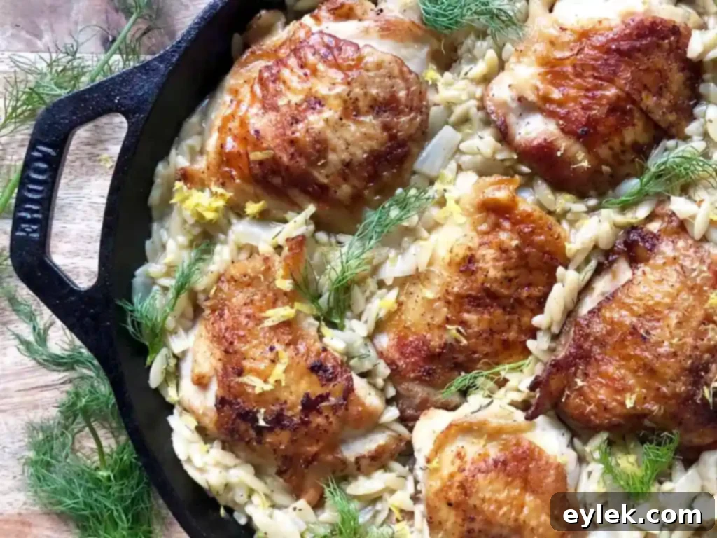 Mediterranean Chicken and Orzo with Fennel and Leeks 17 serving suggestion chicken orzo