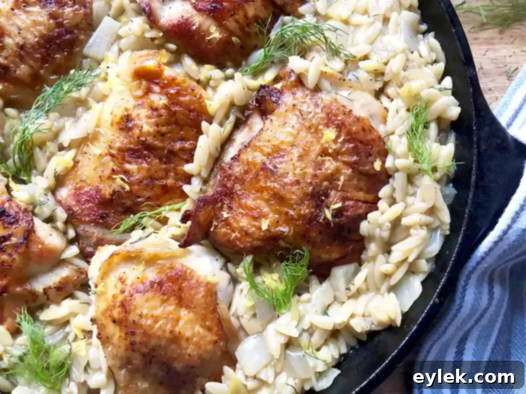 Mediterranean Chicken and Orzo with Fennel and Leeks 18 serving portion of chicken and orzo