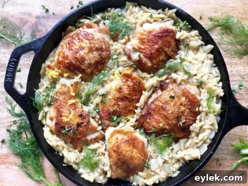 Mediterranean Chicken and Orzo with Fennel and Leeks 19 close up of plated chicken with orzo