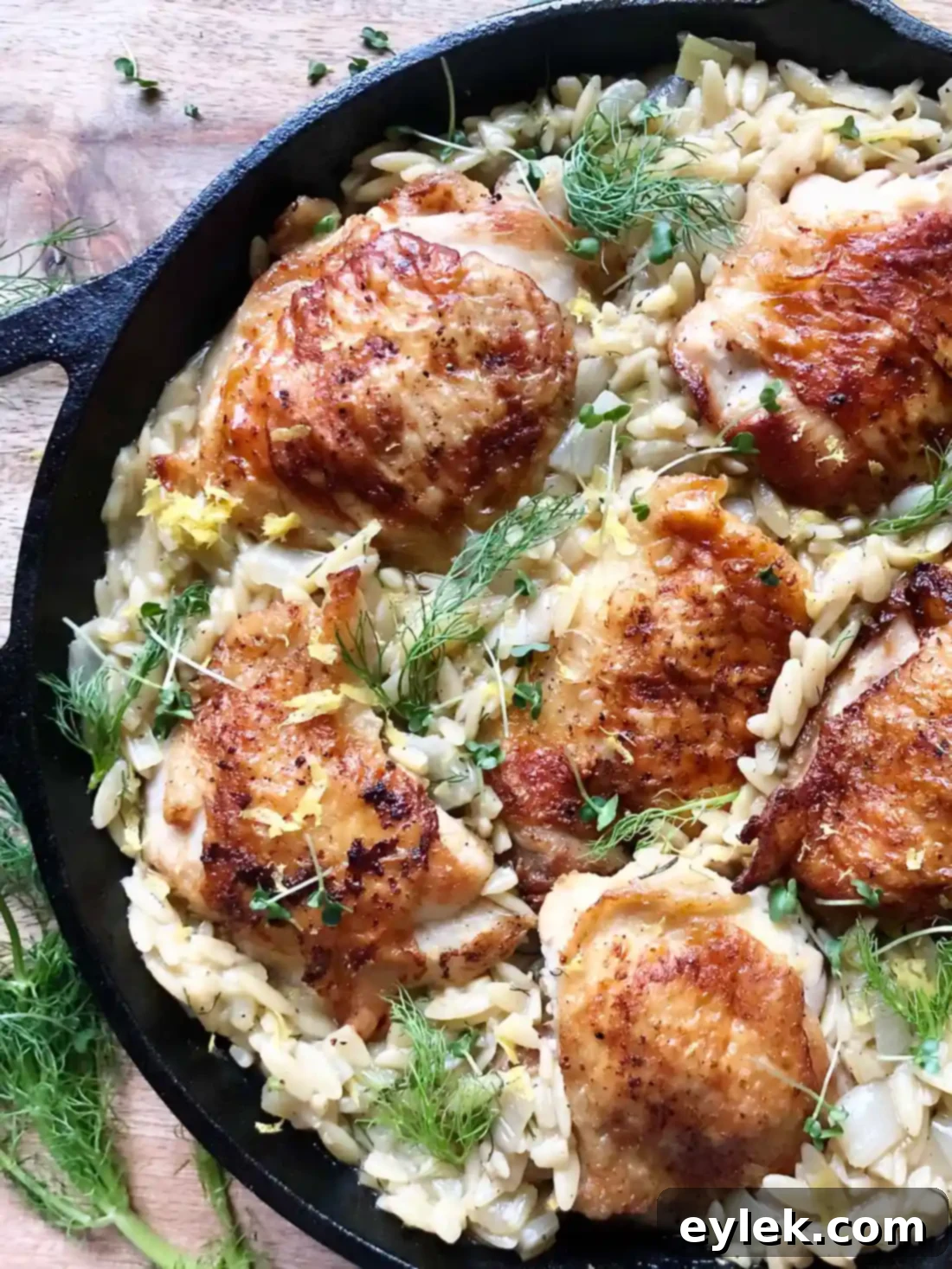 Mediterranean Chicken and Orzo with Fennel and Leeks 20 Chicken with Orzo, Fennel & Leeks