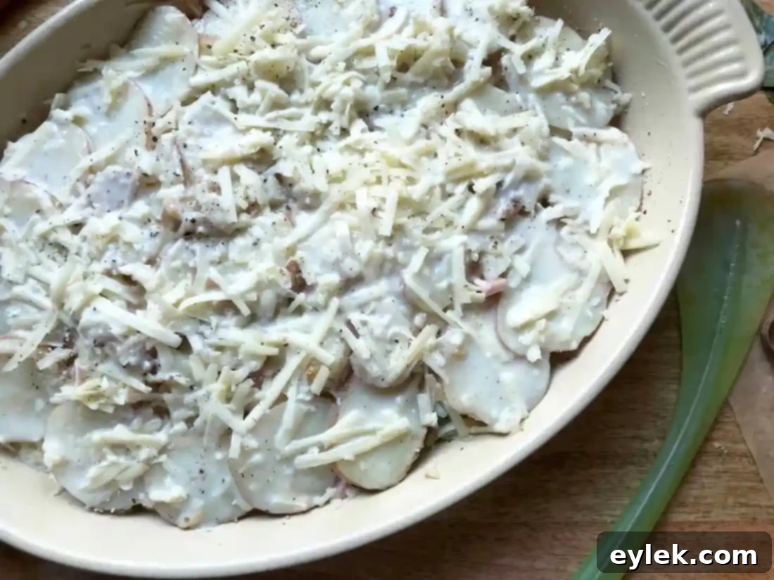 gratin covered for baking