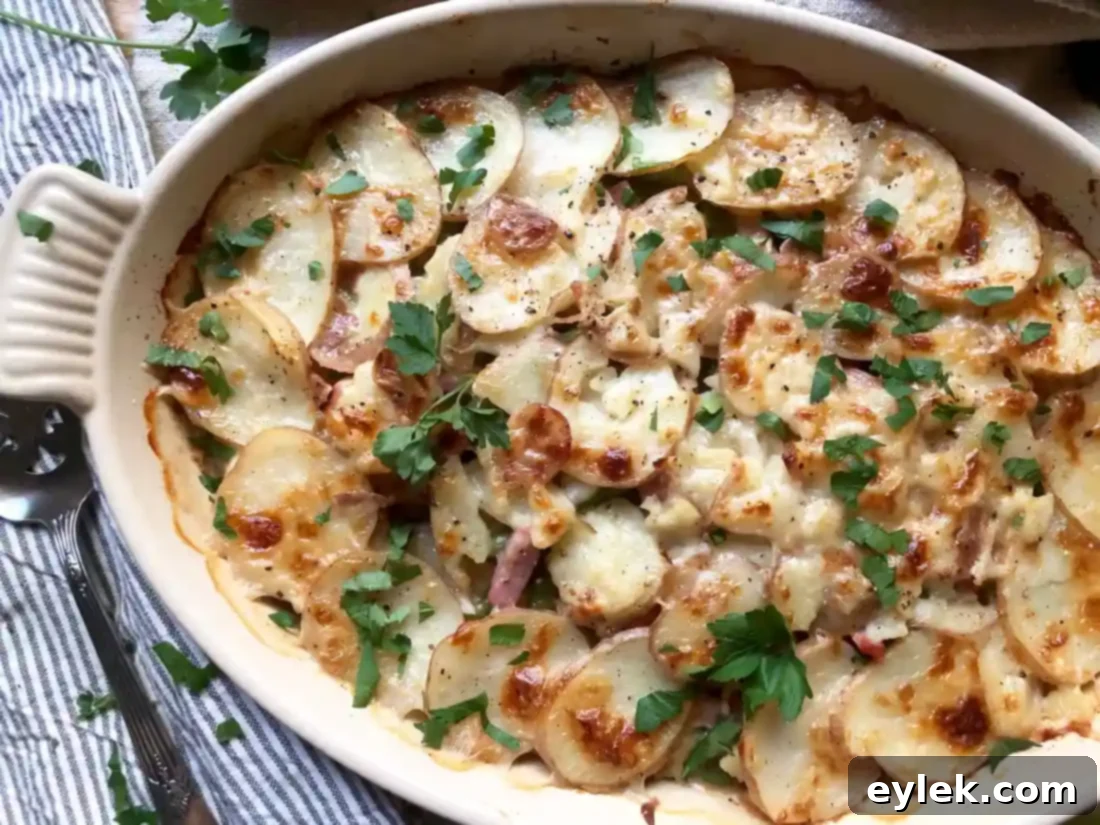 potato gratin with haricots verts & ham on a plate