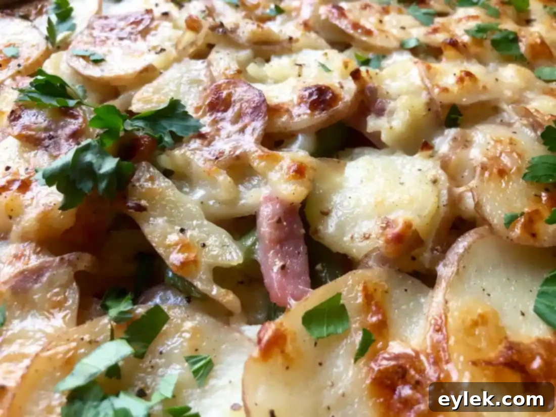 close up of potato gratin
