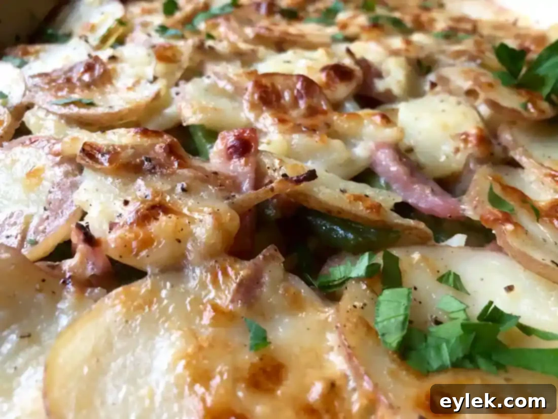 gratin serving