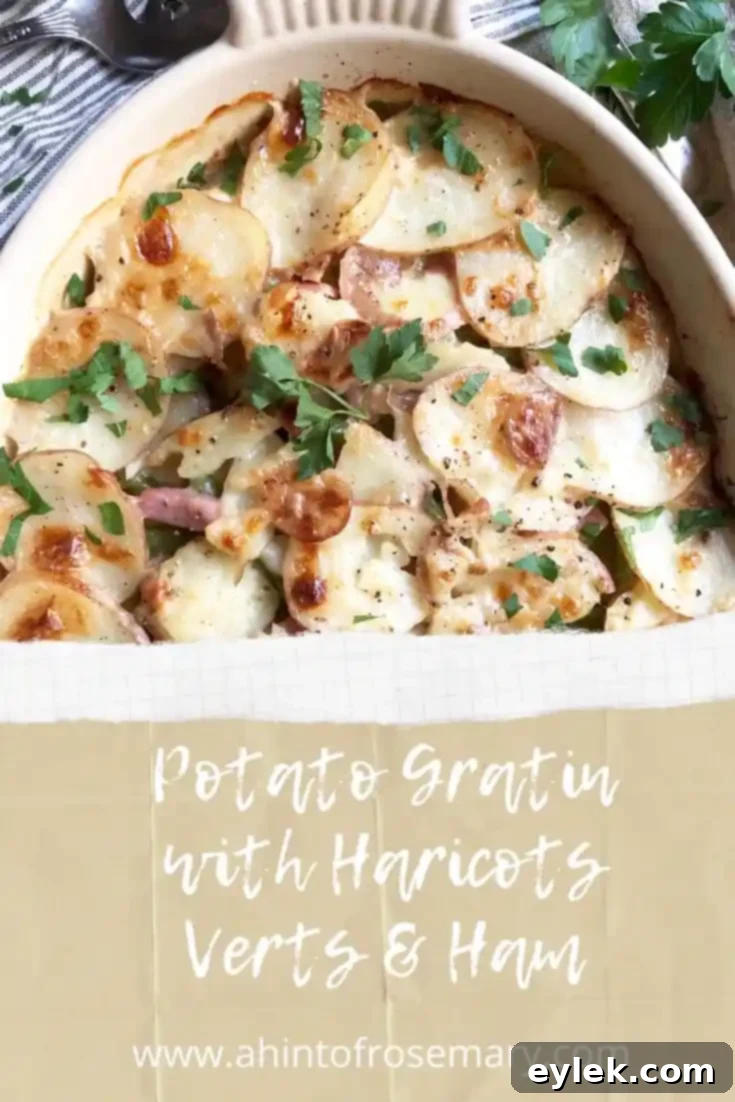Potato Gratin with Haricots Verts & Ham