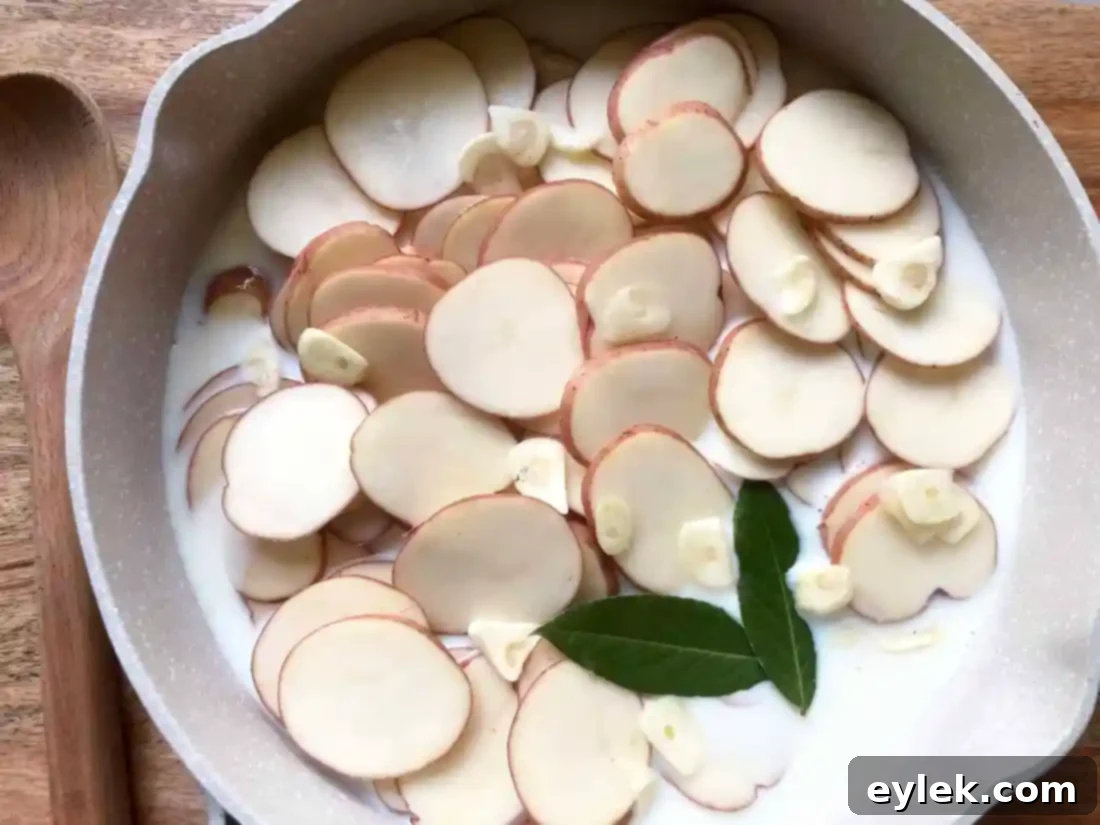 potato gratin with haricots verts & ham