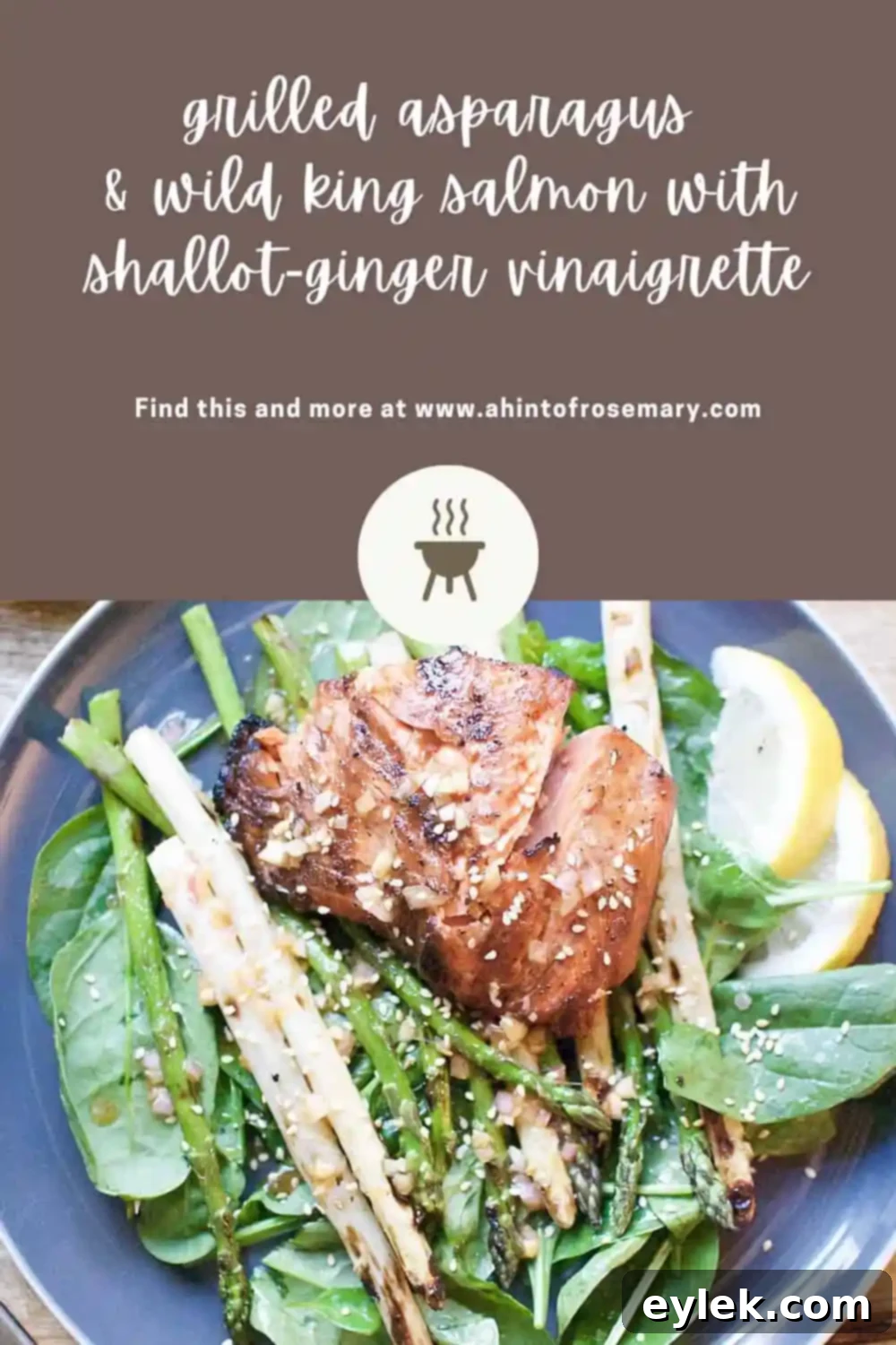 15 Mouthwatering Grilling Recipes 2 15 Awesome Grilled Goodness Recipes
