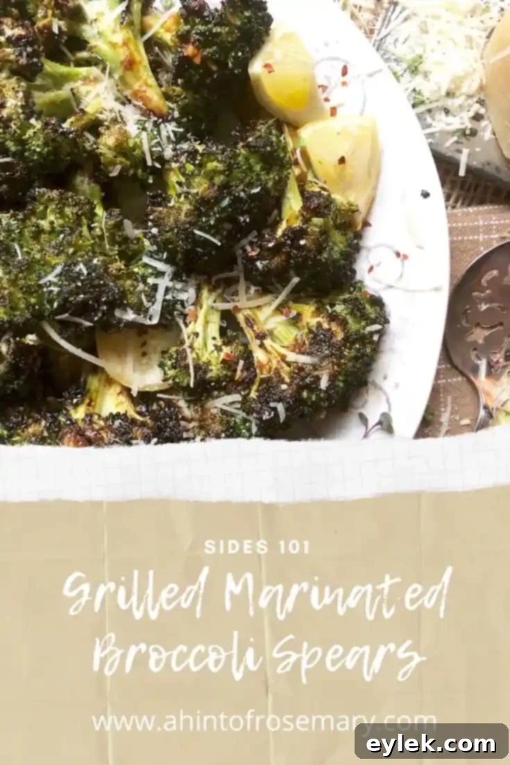 Smoky Marinated Broccoli Spears 16 Grilled Marinated Broccoli Spears beautifully arranged on a white background