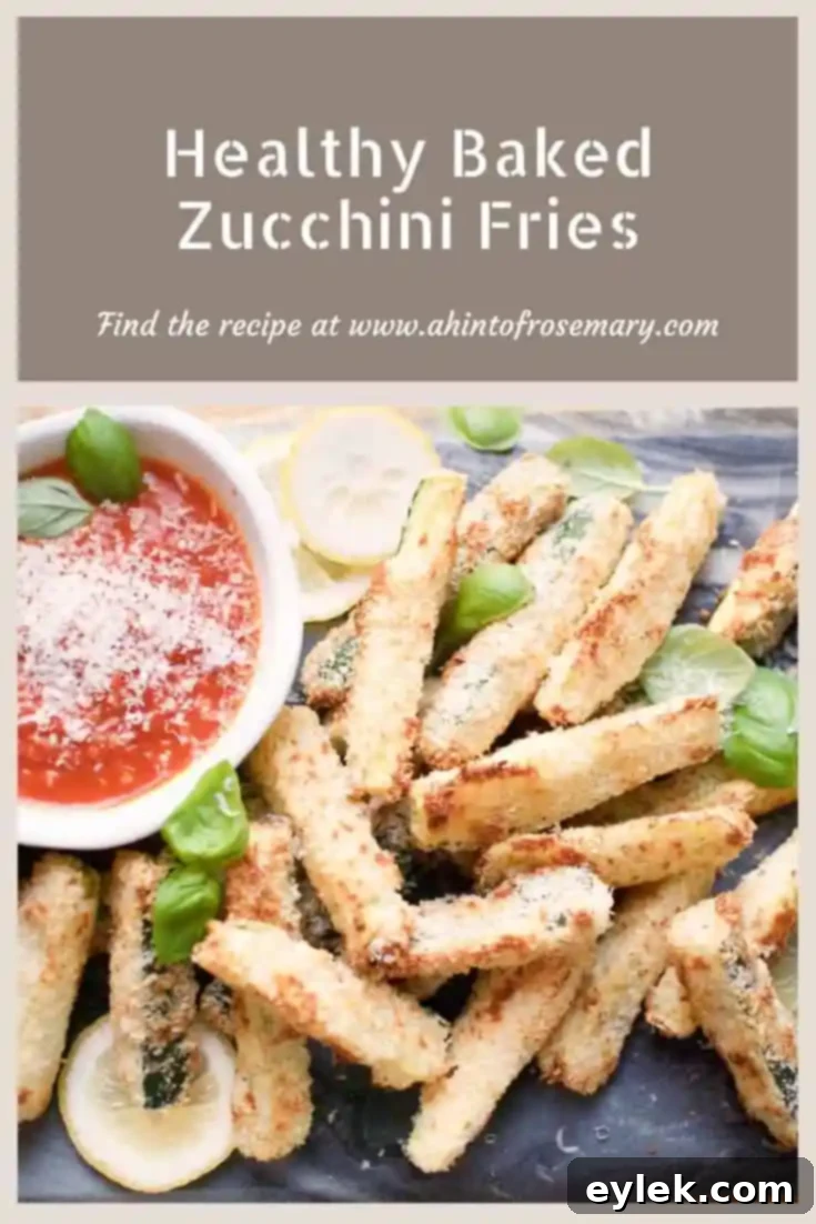 12 Inspired Recipes to Make the Most of Your Zucchini Bounty 6 Healthy Baked Zucchini Fries