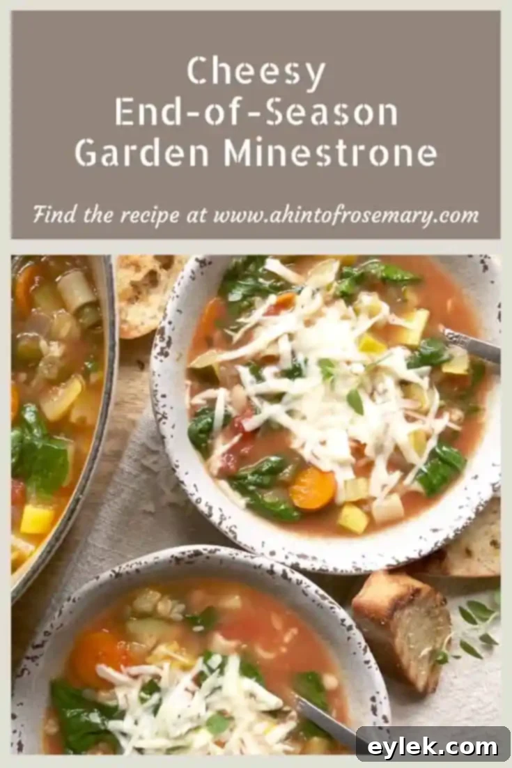 12 Inspired Recipes to Make the Most of Your Zucchini Bounty 9 Cheesy End-Of-Season Garden Minestrone