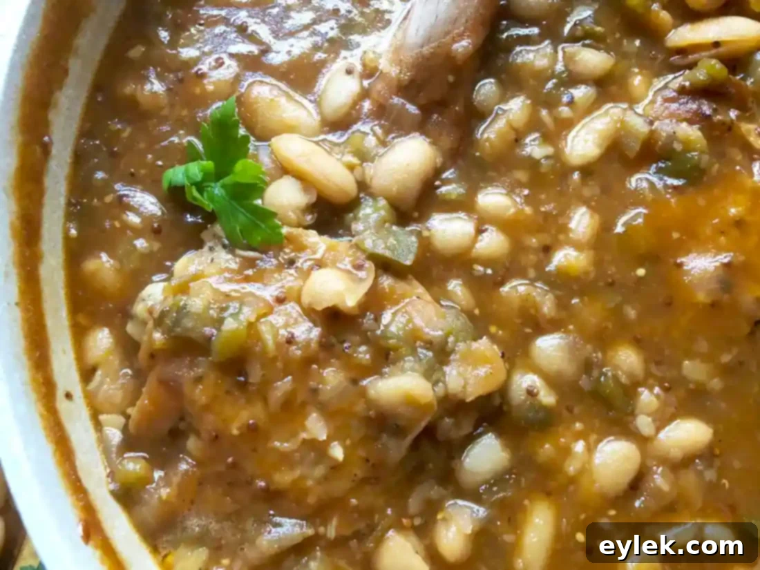 close up of cooked chicken thighs with barbecue beans