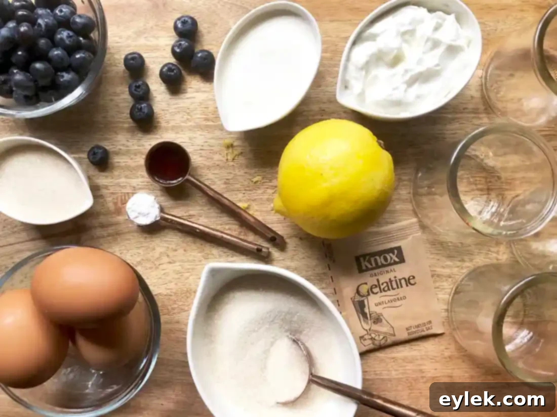 Creamy lemon yogurt mousse with fresh blueberry sauce in a ramekin