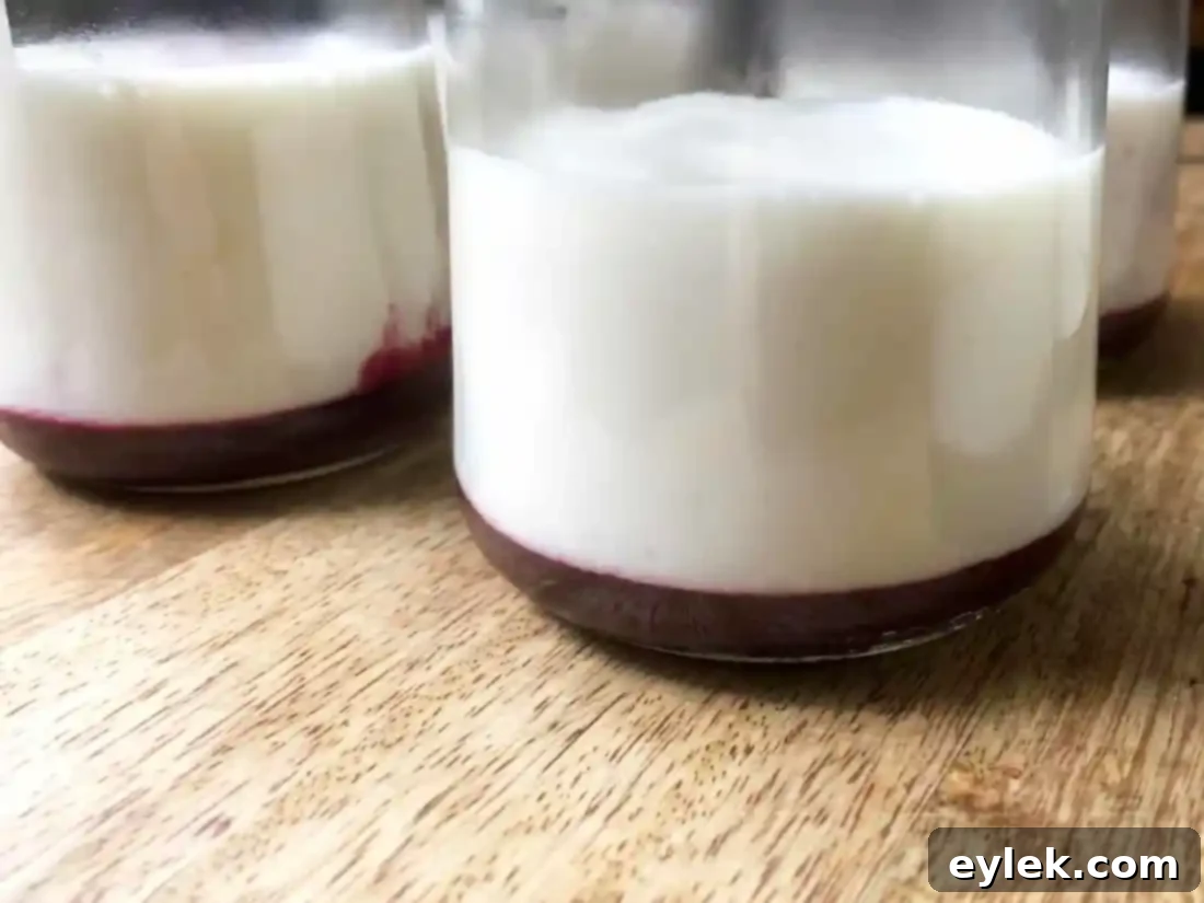 Ramekins filled with mousse and blueberry sauce, ready for chilling
