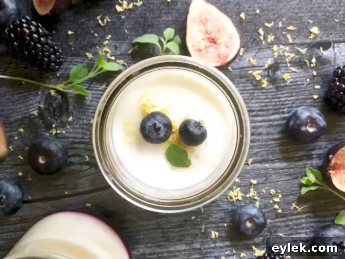Chilled lemon yogurt mousse with blueberry sauce, ready to serve