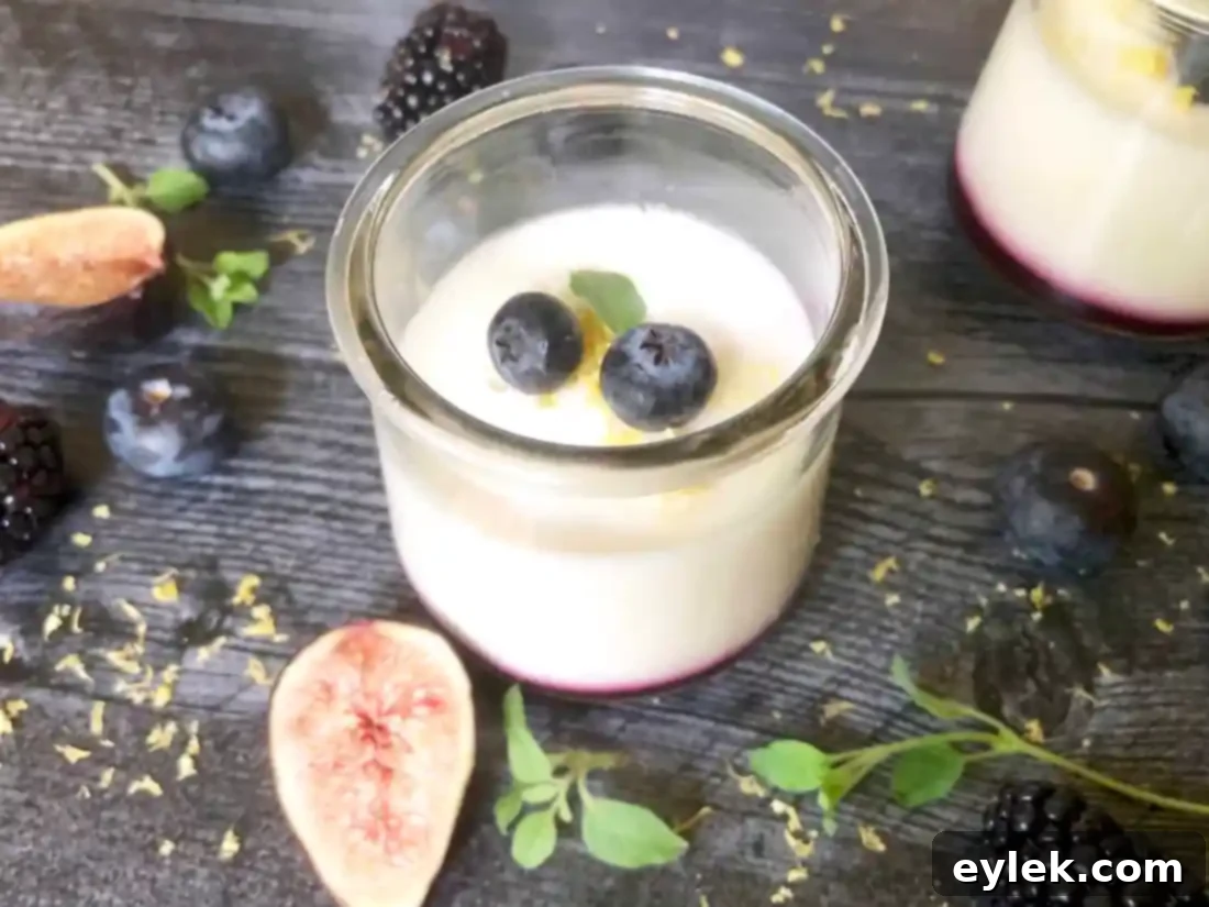Close-up of lemon yogurt mousse with blueberry sauce
