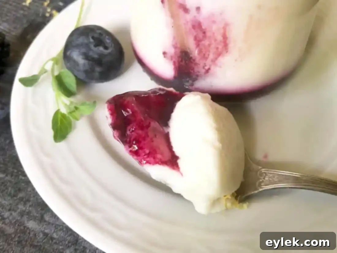 Elegant serving of lemon yogurt mousse with blueberry sauce, garnished