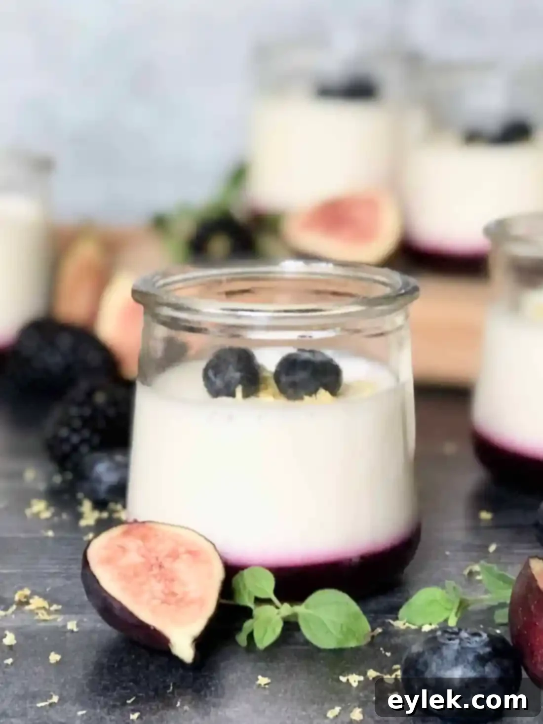 Lemon Yogurt Mousse with Blueberry Sauce close up