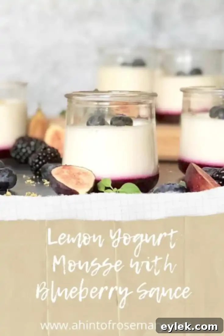 Lemon Yogurt Mousse with Blueberry Sauce final presentation