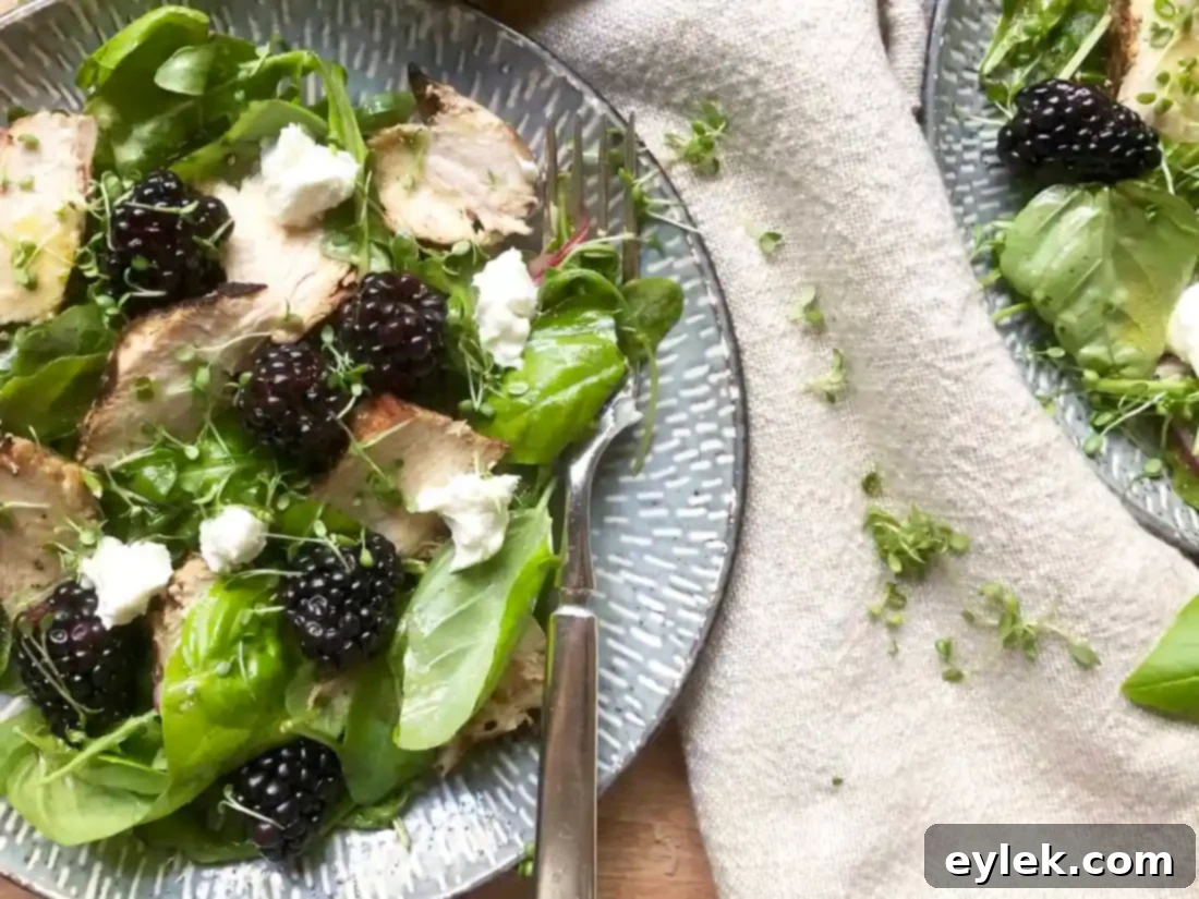 Two servings of Basil, Blackberry & Grilled Chicken Salad on a table